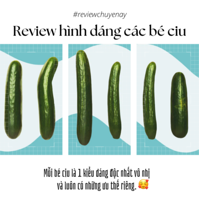 Review các kiểu hình dáng dương vật của nam giới