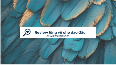 Review lông vũ dùng cho dạo đầu